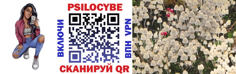 Галлюциногенные грибы прущие грибы  Правдинск 